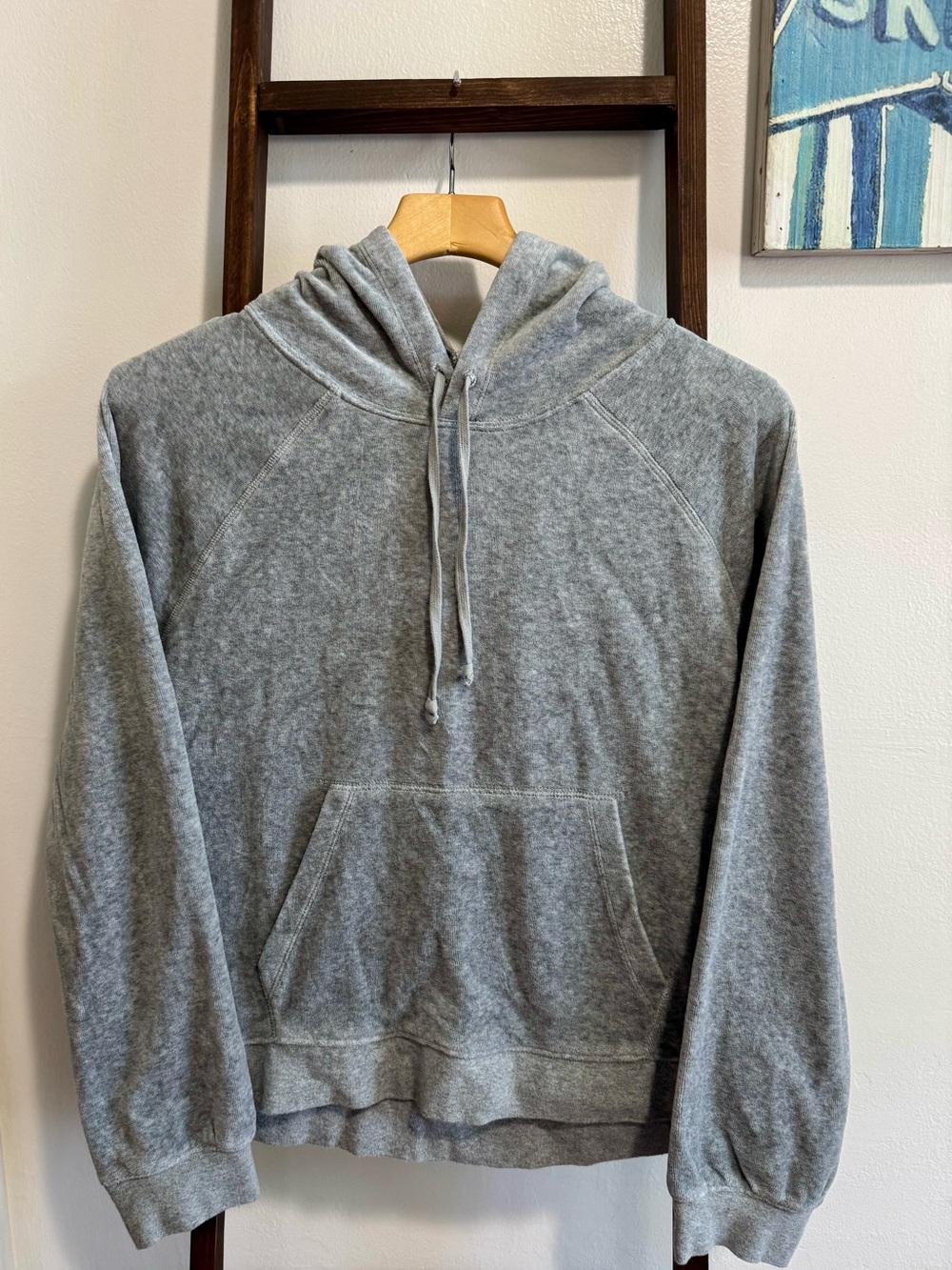 J. Crew Heather Gray Hooded Pullover